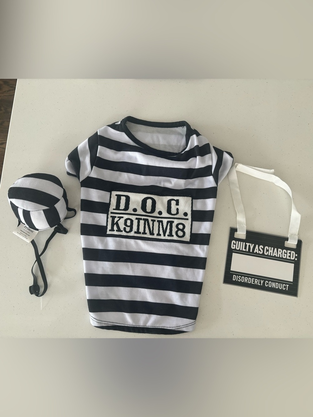 Dog inmate Halloween costume with hat and guilty sign